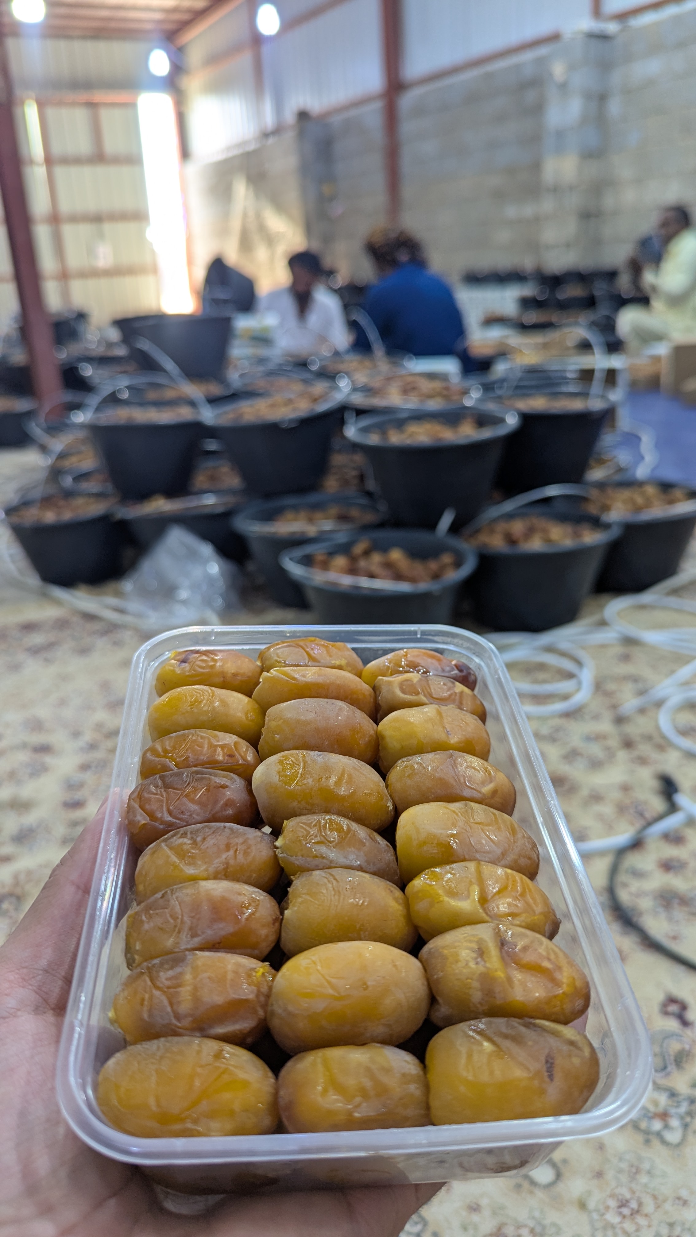 خلاص رطب