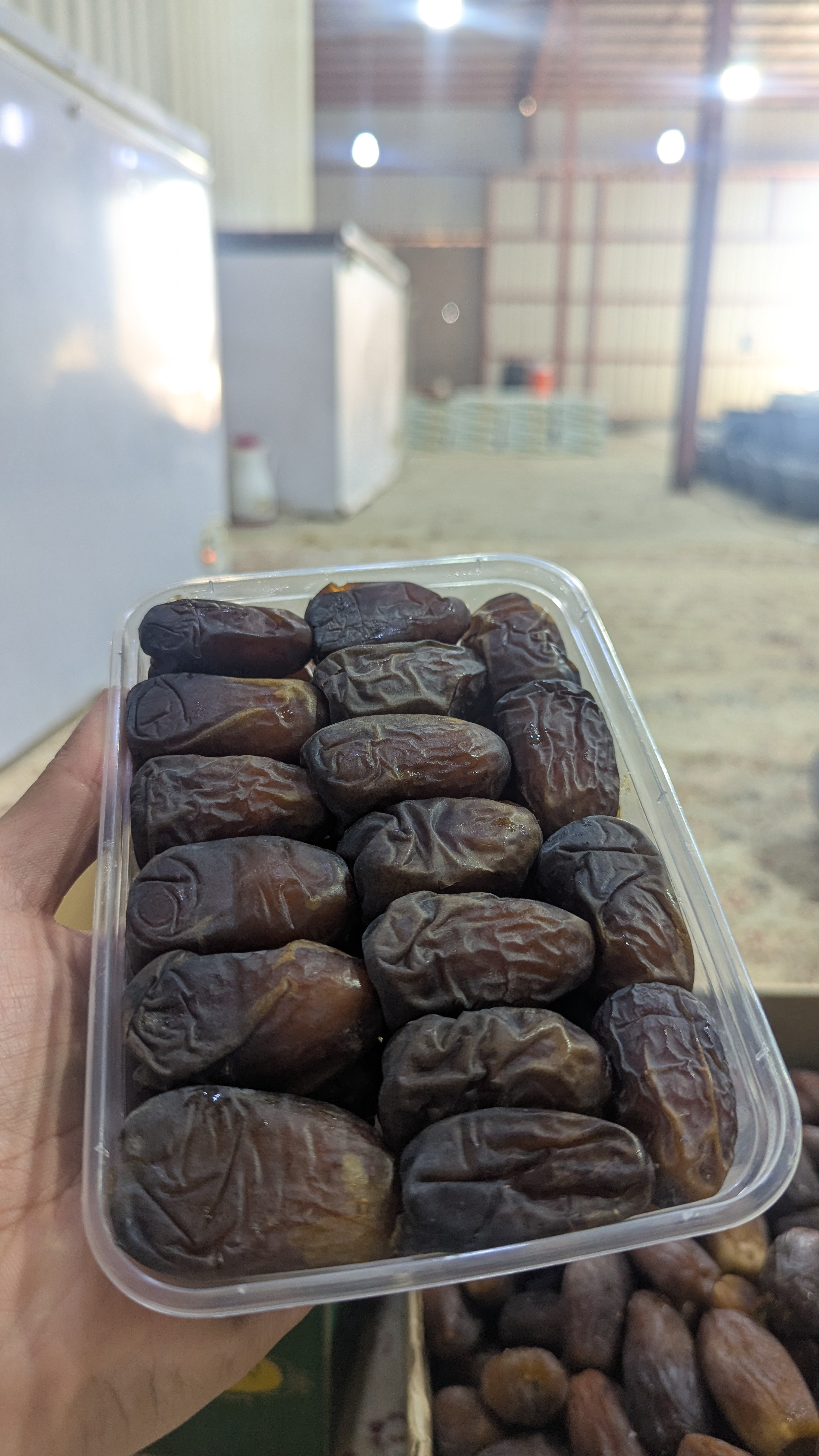 ونانة رطب