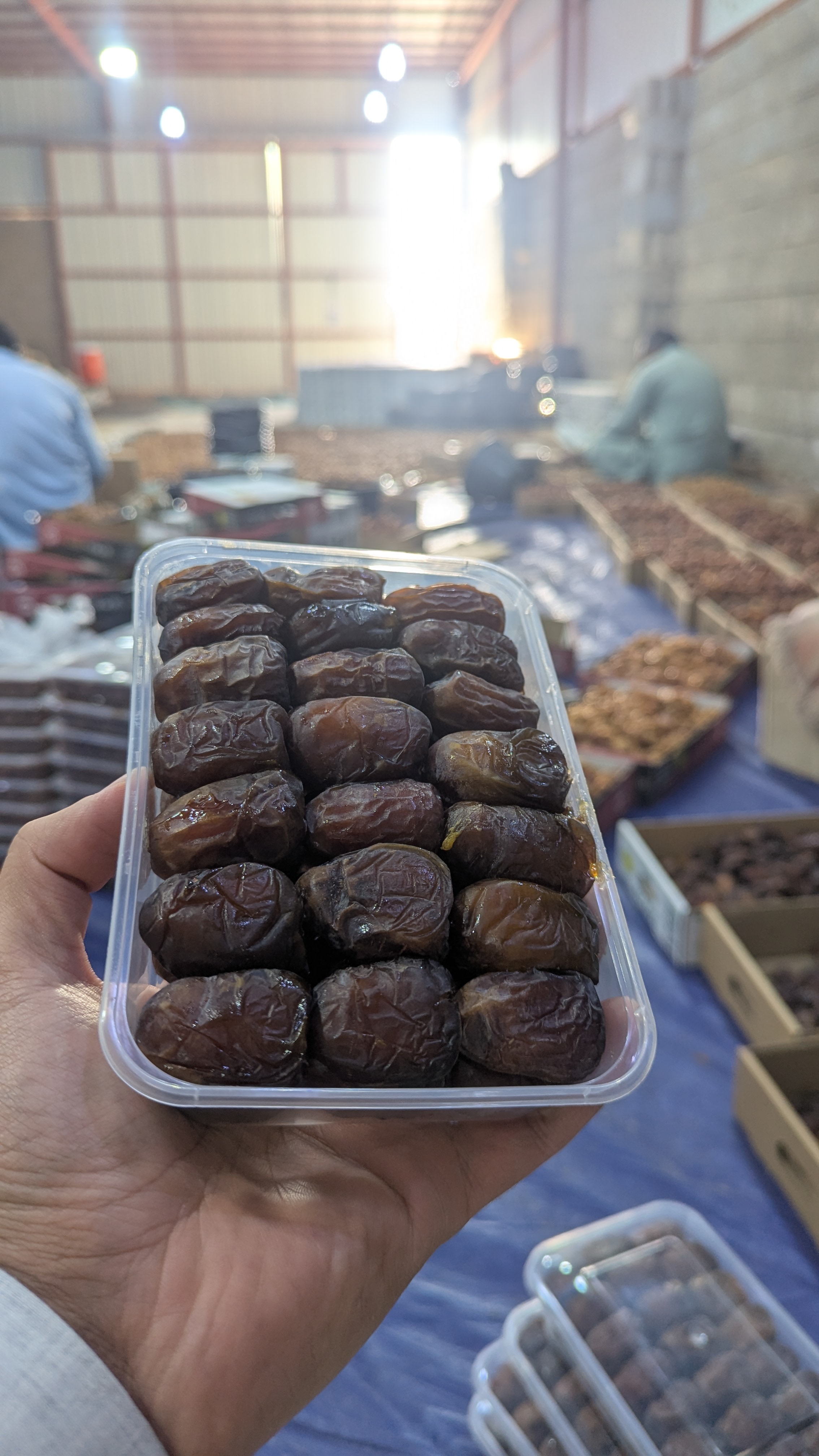 شقراء رطب