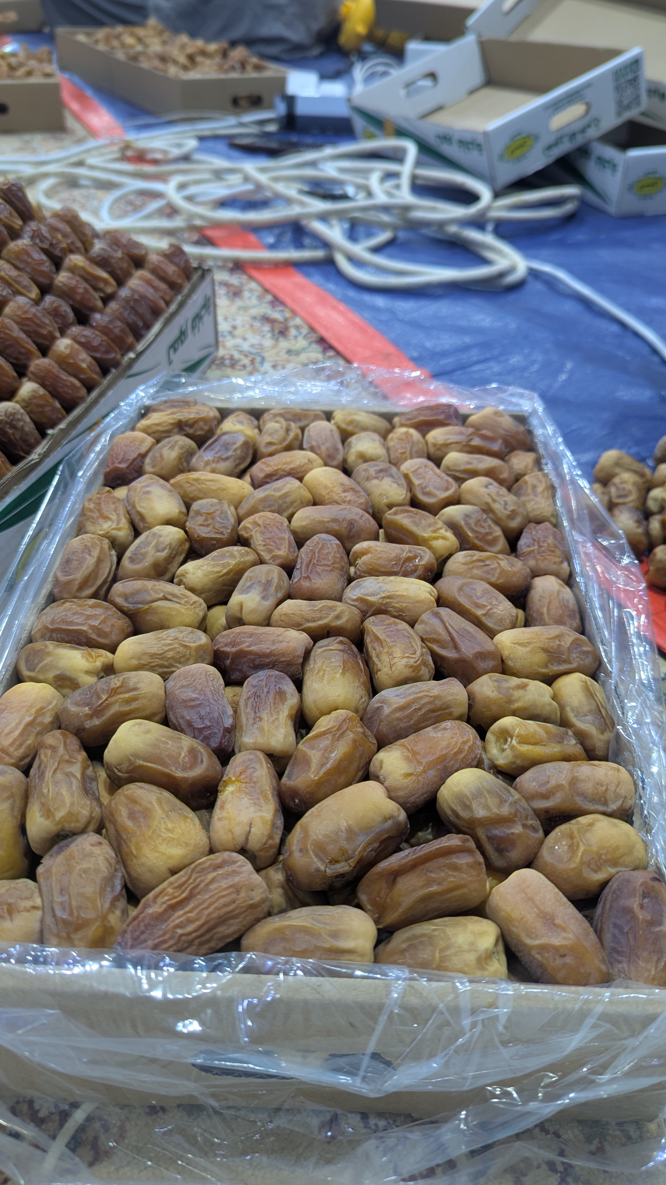 رشودي