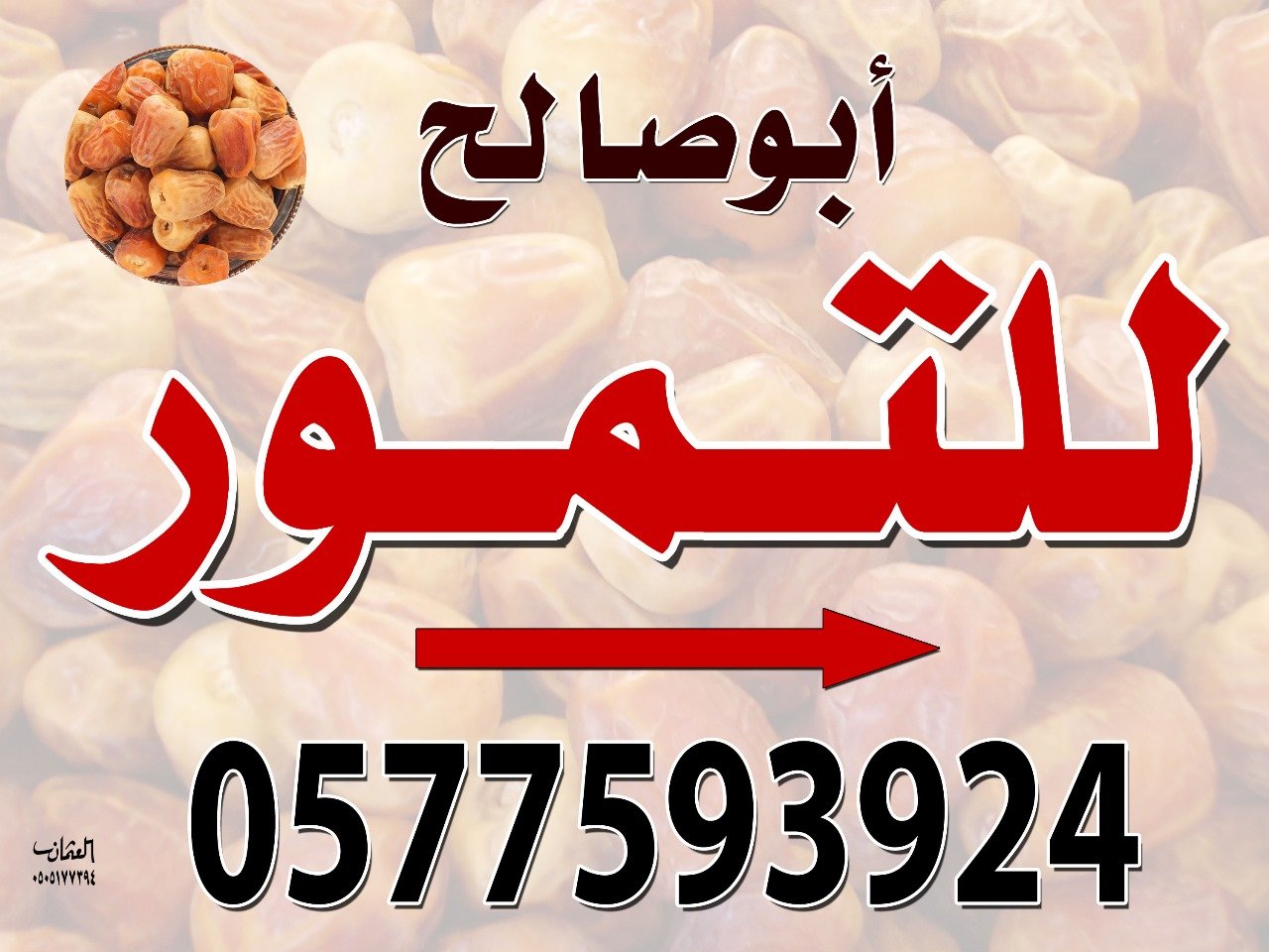 تمور ابوصالح
